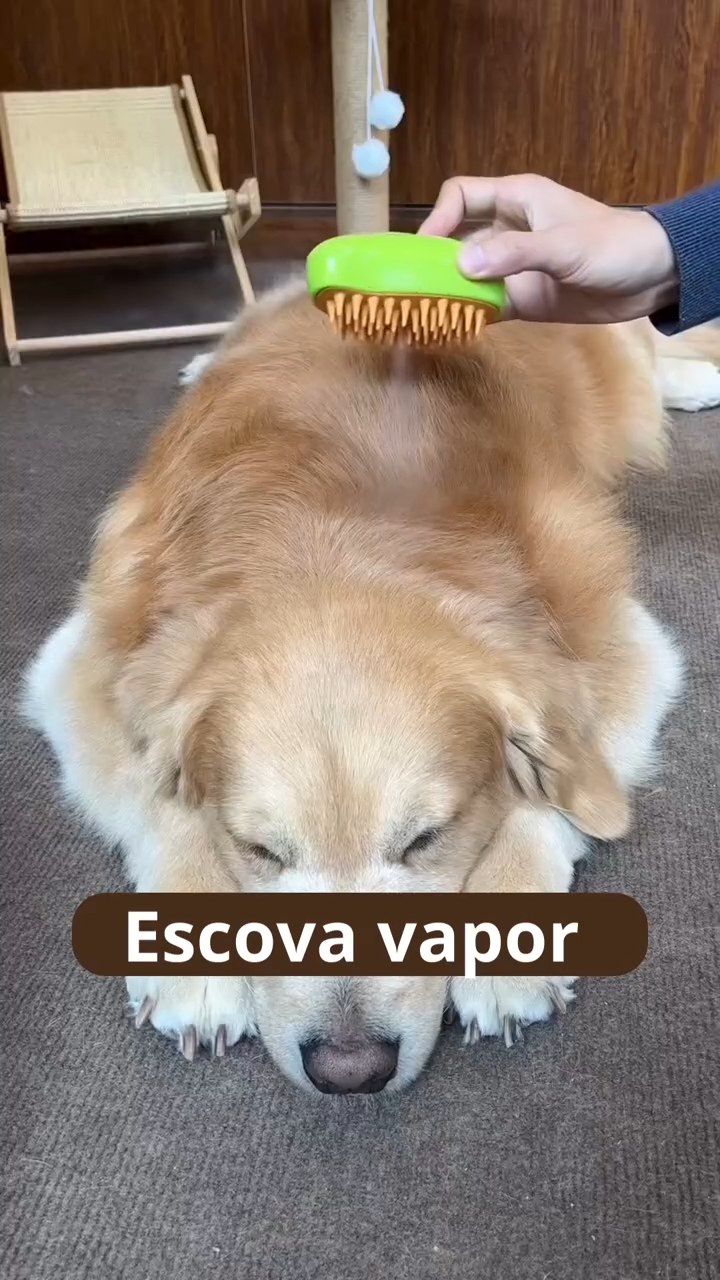 Cepillo a Vapor para Mascotas – Limpieza, Cuidado y Bienestar en Cada Cepillado